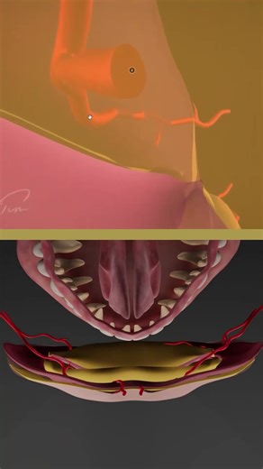 You need to be aware of this before injecting lips