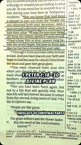 Divine Plan ✨Theology of Christmas Part 1✨ For you know that God paid a ransom to save you from the empty life you inherited from your ancestors. And it was not paid with mere gold or silver, which lose their value. It was the precious blood of Christ, the sinless, spotless Lamb of God. God chose him as your ransom long before the world began, but now in these last days he has been revealed for your sake. 1 Peter 1:18-20 Christmas wasn’t Plan B. Jesus’s coming was God’s intention from before cre