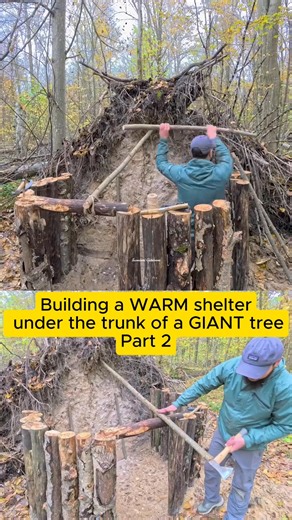 Building a WARM shelter under the trunk of a GIANT tree Part2 #survival #Outdoors #camping #bushcraft #shelter | Vantage Ridge Bushcraft