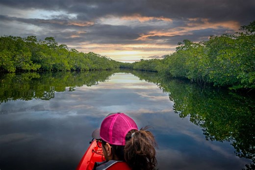 The First Undersea Park in the U.S. Has Incredible Diving, Snorkeling, and Glass-bottom Boat Tours