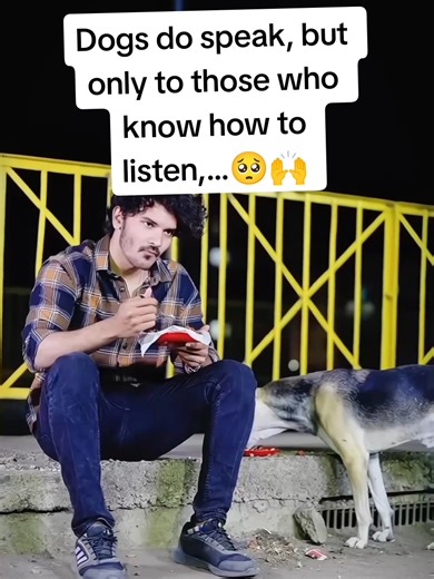 Do Dogs Speak? Learn to Listen to Your Canine Companion