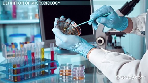 Microbiology | Definition, Branches & History