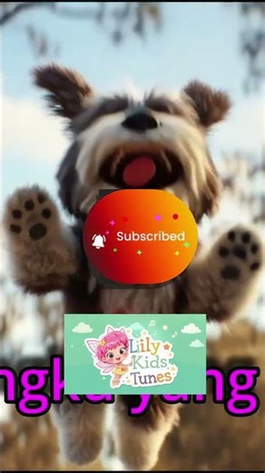 Anjing Lucu Banget! Kompilasi Tingkah Gemes Bikin Ngakak