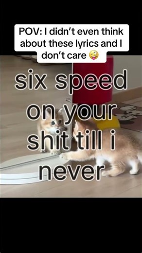 SONG: OVERDOSE. - foolish animals out this Friday #lildarkie #1nonly #fyp #freddiedredd #cattok