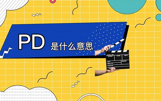 pd是什么意思