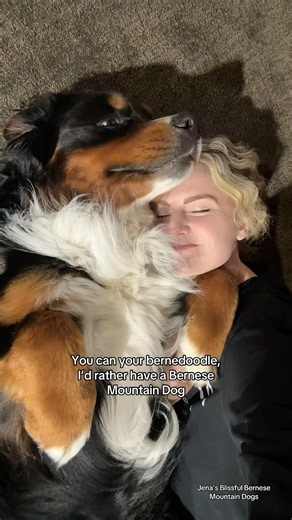 I’d rather have my Bernese mountain dog 🐶 #puppy #bernesepuppy #bernesemountaindog