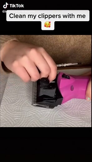 #PepsiApplePieChallenge clean my @listerclipping liberties for me #clipping #clippers #clippinghorses #clippingseason #bodyclipping #equestrian #fyp #foryoupage #foryou #horses #clippers #lister #cleaning