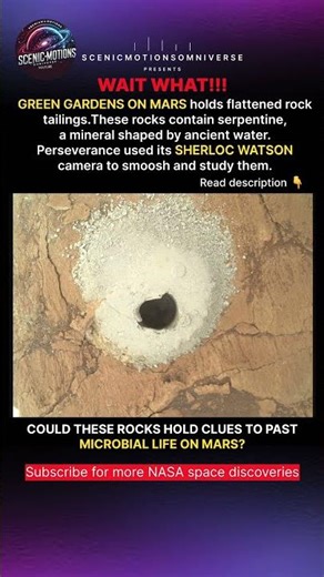 Green Gardens on Mars 🔴 NASA Perseverance Rover 2025 Close-Up