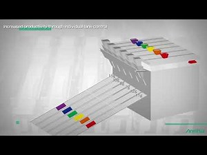 Multi-lane Checkweigher Overview