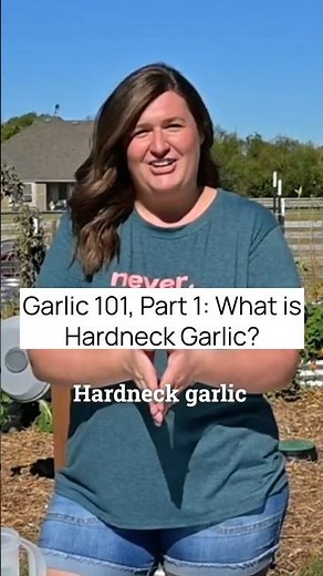 Garlic 101, Part 1: What is Hardneck Garlic?