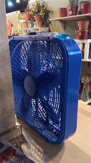 Blue lasko box fan