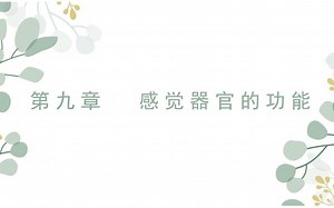 【二层次】感觉的功能