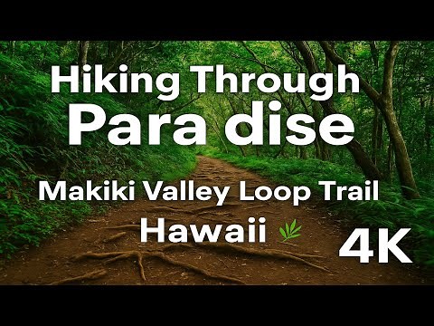 Hiking Through Paradise | Makiki Valley Loop Trail Hawaii 4K 🌿 4K