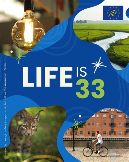 3.8K views · 114 reactions | Calling all LIFE projects! Today is...