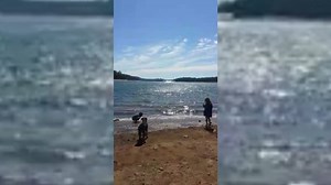 12K views · 192 reactions | UPDATE: The Super Scooper is in full...