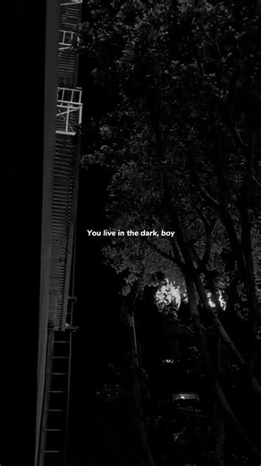 montero (Call Me By Your Name) - Lil Nas X | lyrics | aesthetic | whatsapp Status | English songs