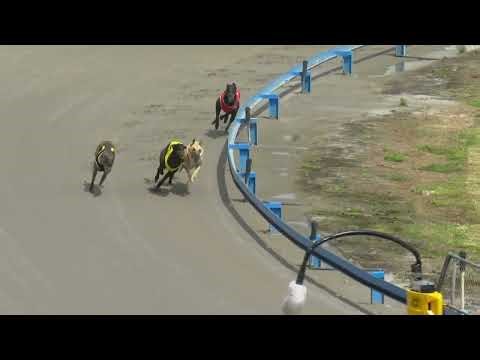 AUKG Sunday 8 February 2025 318m Aulturism 19 10