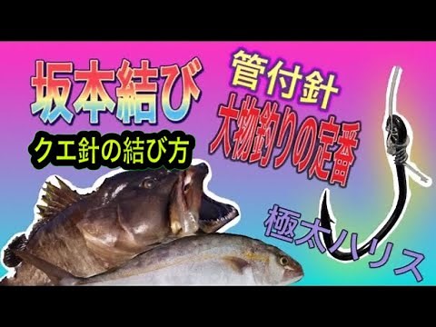 大物釣りに最適！坂本結び