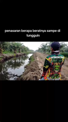 Cuma mancing di pinggir jalan udah strike ikan gabus monster joran - Firtus Insanity Rell - kastking Zhephyr line - piranha 0.8 x9 lider - no 20 lure - NBM LURE ABUK LURE #castingfishing🎣 #fishing_snack_head #fyp #tiktokviral #casting_gabus_umpan_soft_frog