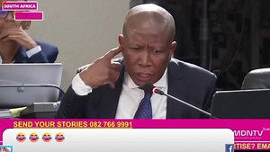 299K views · 6K reactions | Cat Matlala says that he is not John Wick and does not k*ll people. | MDN News | Facebook