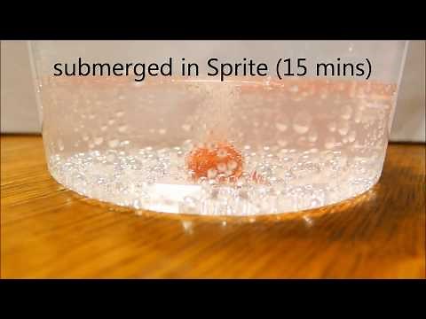 Skittles Dissolving in Vinegar, Water, and Sprite