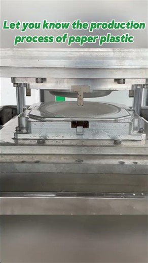 High-Efficiency Pulp Machines | Turning Raw Fiber into Green Packaging Solutions #shorts