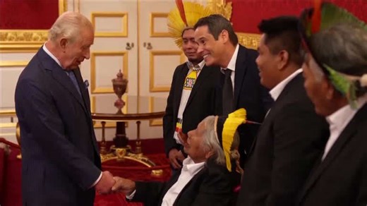 Indigenous Amazon defender meets King Charles, receives honor