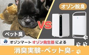 オゾン発生器消臭実験 -ペット臭-