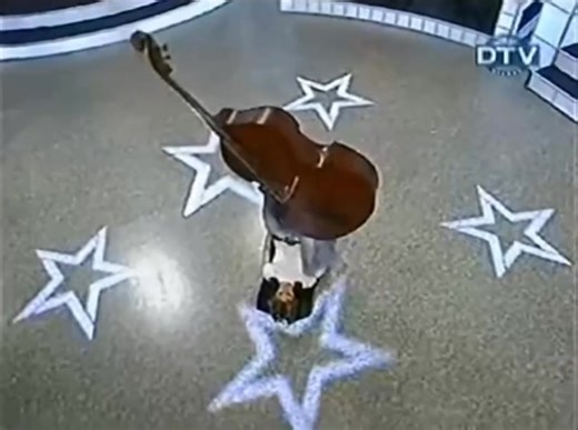 5.7K views · 33 reactions | Another badly treated double bass!!!  | dbStrings | Facebook