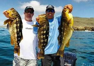 The Pro's Love Okuma SCT Inshore Rods | BDOutdoors