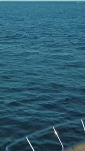 16K views · 1.1K reactions | No worries, no limits, just gliding relentlessly on. Pershing 6X. Defiant by nature. #TheDominantSpecies #DefiantByNature #FerrettiGroup #KeepBuildingDreams #ProudToBeItalian  #MadeInItaly https://ow.ly/qhKX50PzeYs | Pershing Yacht | Facebook