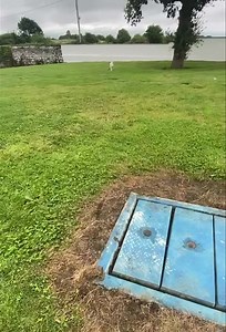 18K views · 159 reactions | Meet “Kenny” Kenny is a 7 month old...