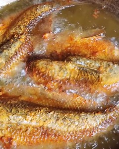 Old Lovers Cooked in the Cave Like 2000 Years Ago - Cave Lifestyle | Villager TVs