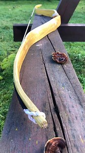 Black Locust Recurve Bow. See How I Made It: https://youtu.be/ASWkFR643wc | Dreamcraft Bows