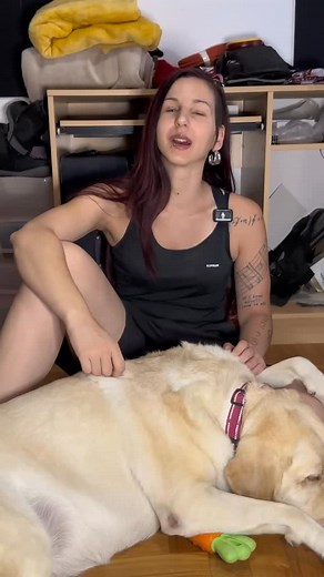 Ti piace il mio Cane Guida? Quali sono i comandi che dai al tuo Cane Guida Pancake e che cosa significano?❤️ #guidedog #blindness #disabilità #addestramento #caneguida #disability #caneguida #cane #labrador #blind #informazione #dog #diversity #comunicazione #doglover #inclusione #divulgazione | Vanessa Casu Music