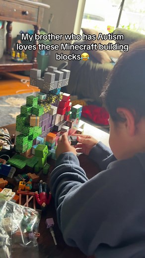 Engaging Minecraft Building Blocks for Kids