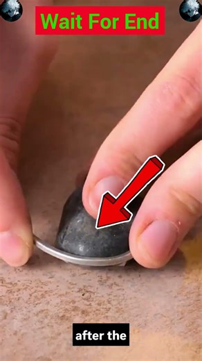 Sand + Shells = Stunning Earrings 😍✨ DIY Beach Magic #shorts #viralvideo #shortsfeed