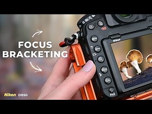 How and Why I Focus Bracket my Fungi Photography