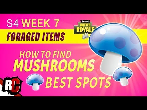 Fortnite | Best Mushroom Locations WEEK 7 (Finding Mushroom Filled Areas | Week 7 Challenges)