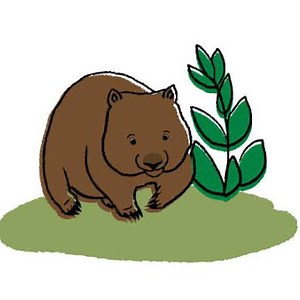 SomeAngryWombat - Twitch