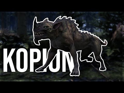 Kopions | Star Citizen | New Players Guide