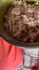 16K views · 404 reactions | How u dey call dis ? | SL News Blog | Facebook