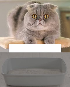 264 reactions · 46 shares | PrettyLitter's magical crystals suppress odor so your home can be left fresh and clean. | PrettyLitter | Facebook