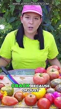 Marglobe Heirloom Tomato Review & Taste Test