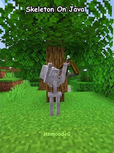 Java Skeleton VS Bedrock Skeleton 💀🏹 | #Minecraft #Shorts #gamingshorts