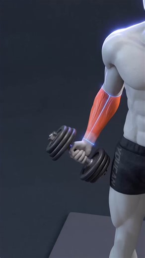 The best exercises for bigger forearms