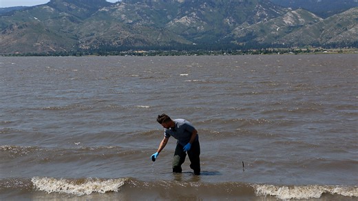 What are the dangers of harmful algae in Northern Nevada lakes?