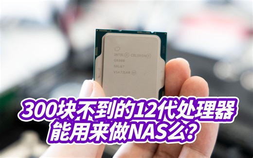 12代处理器可以做NAS了吗？300不到的新核显U可以用？