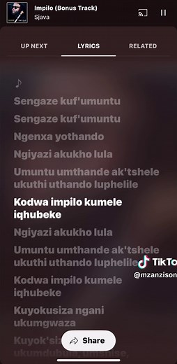 Sjava's Impilo: Full Lyrics and English Translations