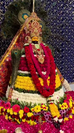 Desafío de baile en TikTok: ¡Baila y diviértete!